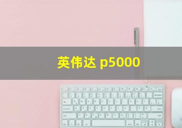 英伟达 p5000